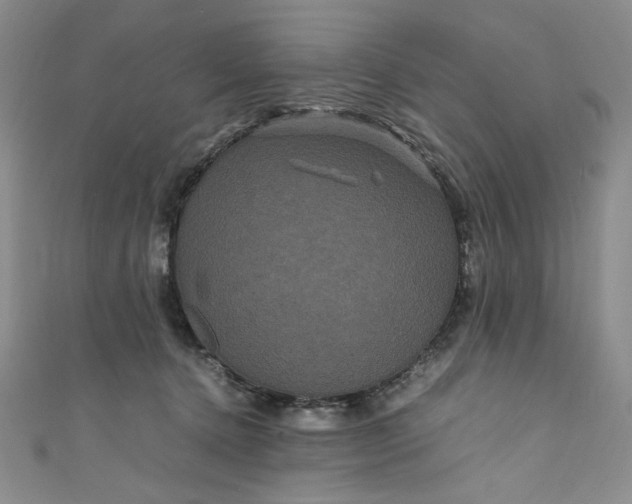 X0000111470368200907271317