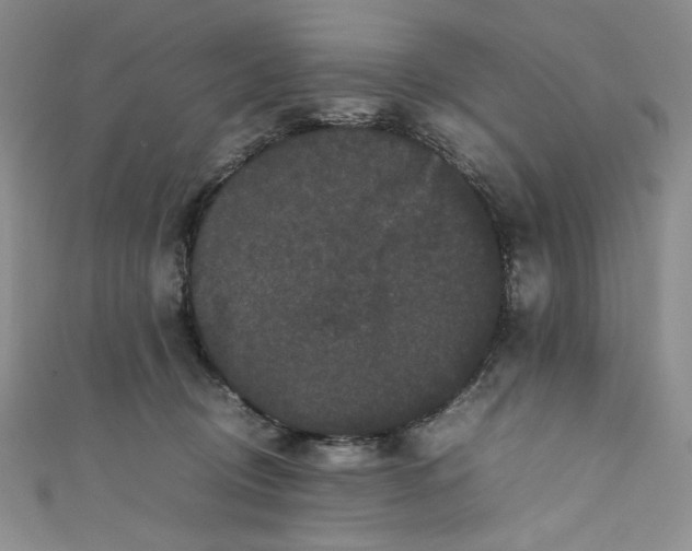 X0000111470370200907271317