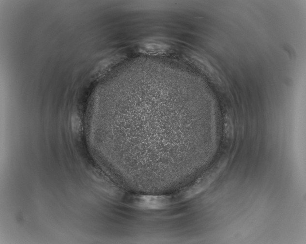 X0000111470371200907271317