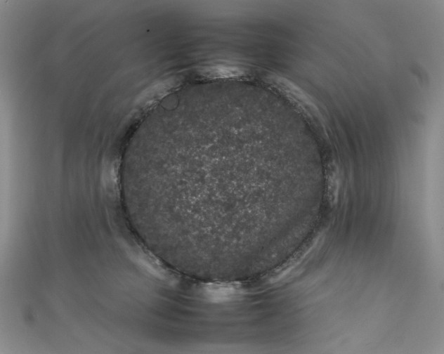 X0000111470373200907271317