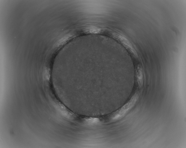 X0000111470374200907271317