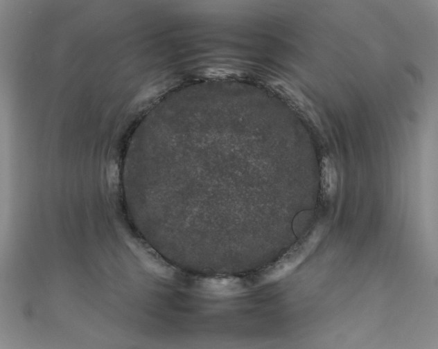 X0000111470375200907271317