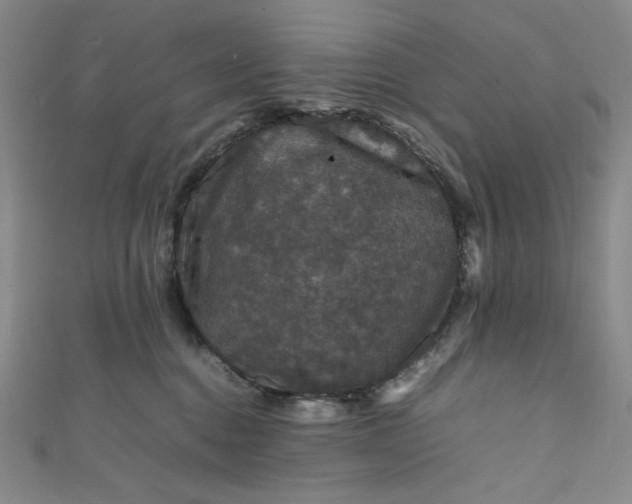 X0000111470376200907271317