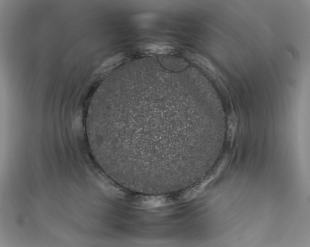 X0000111470377200907271317