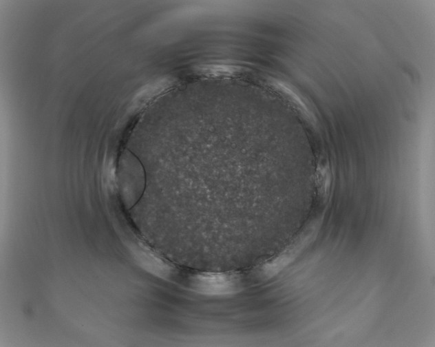 X0000111470381200907271317