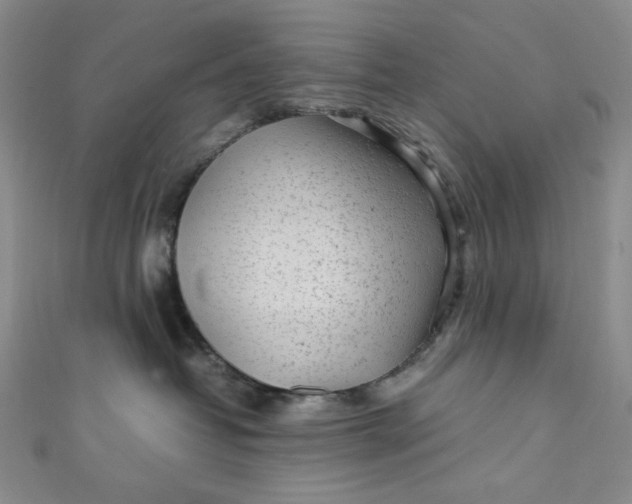 X0000111470382200907271317