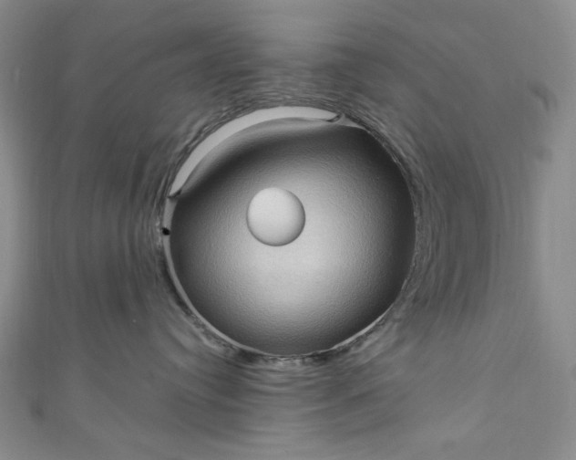 X0000111470384200907271317