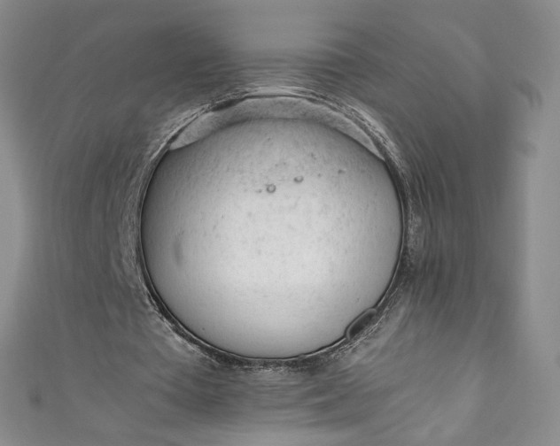 X0000111470385200907271316