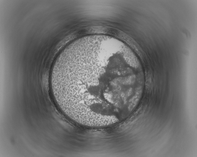 X0000111470386200907271316