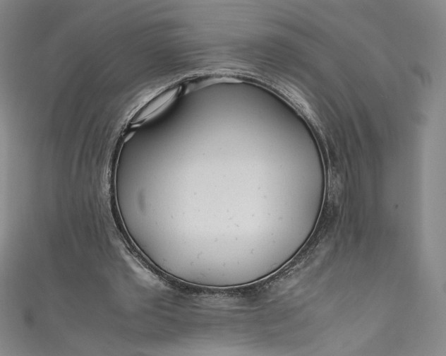 X0000111470389200907271316