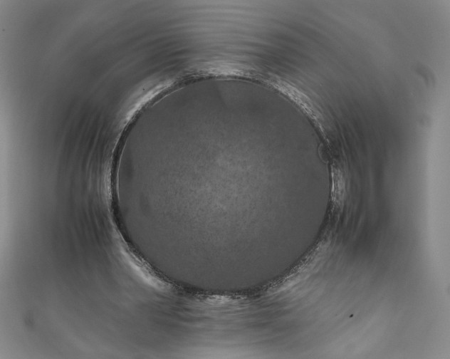 X0000111470390200907271316