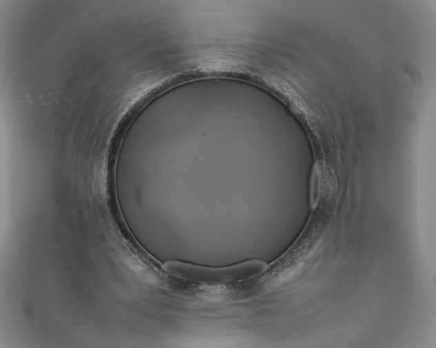 X0000111470391200907271316