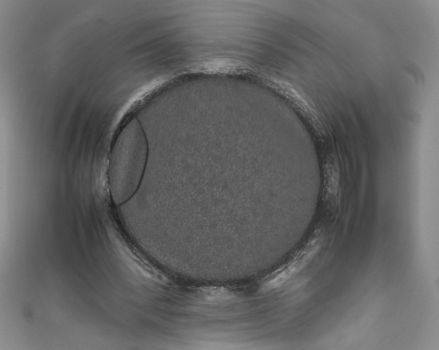 X0000111470392200907271316