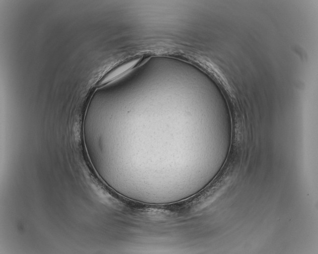 X0000111470393200907271316