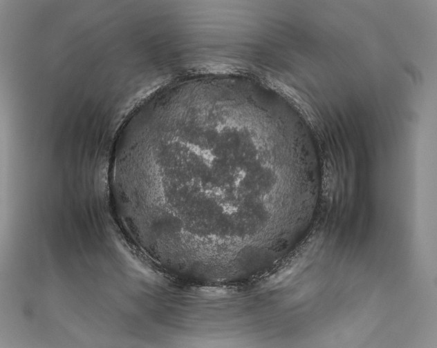 X0000111470394200907271316