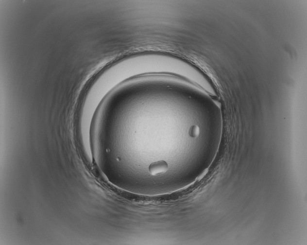 X0000111470395200907271316