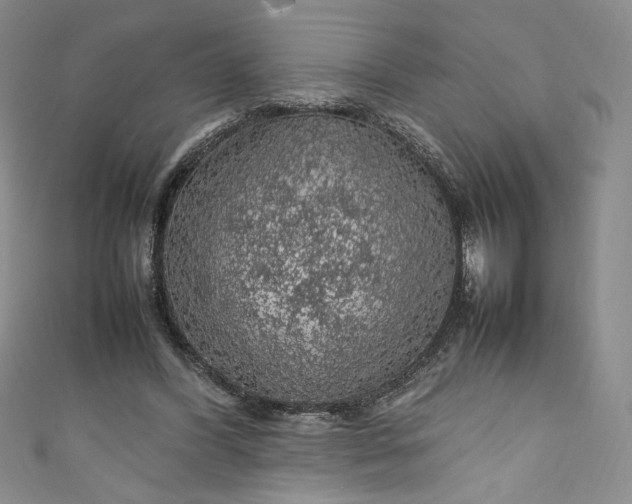 X0000111470396200907271316