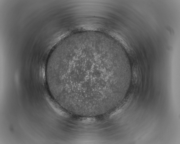 X0000111470398200907271316