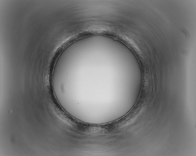 X0000111470399200907271316