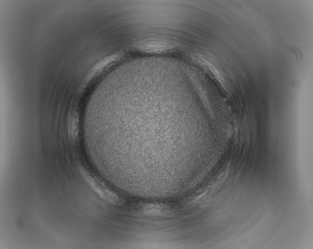 X0000111470400200907271316