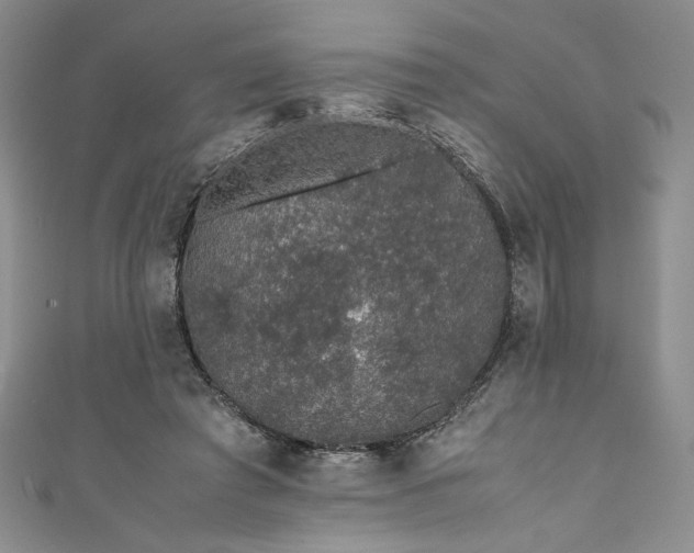 X0000111470401200907271316