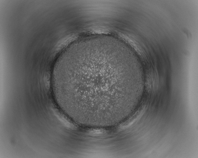 X0000111470402200907271316