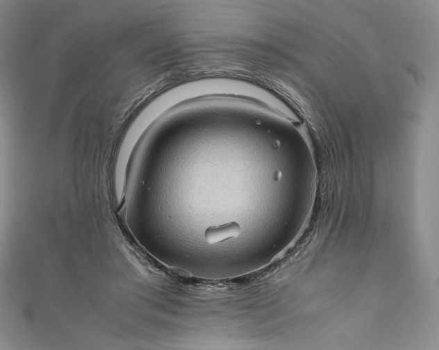 X0000111470405200907271316