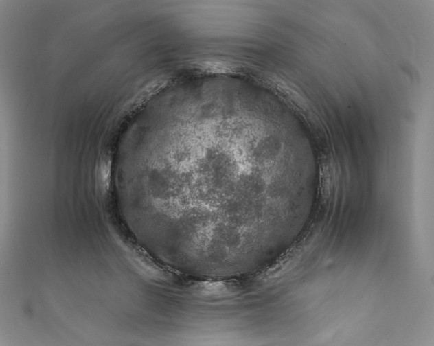 X0000111470406200907271316