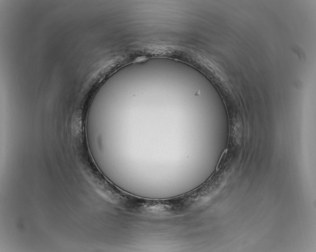 X0000111470407200907271316