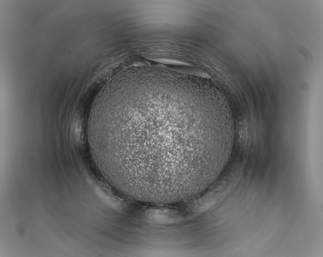 X0000111470408200907271316