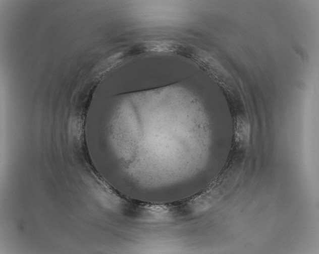 X0000111470409200907271316