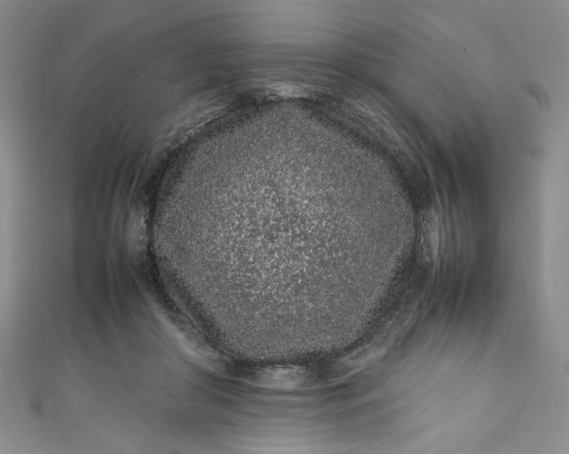 X0000111470410200907271316