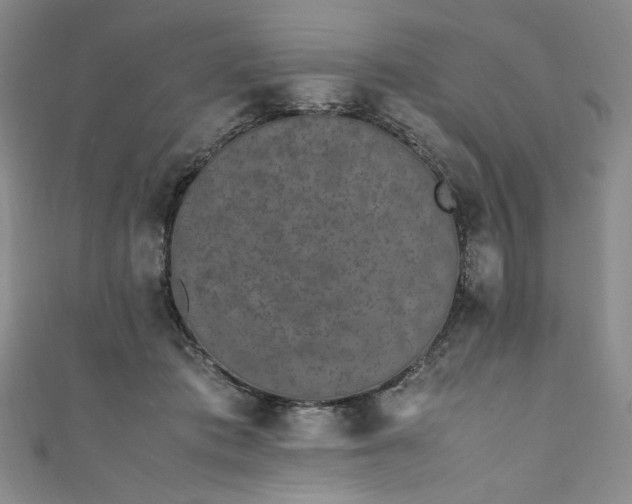 X0000111470413200907271316