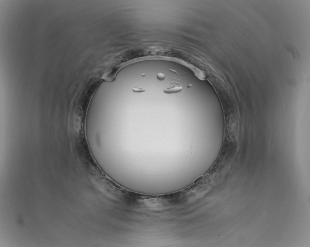 X0000111470417200907271316