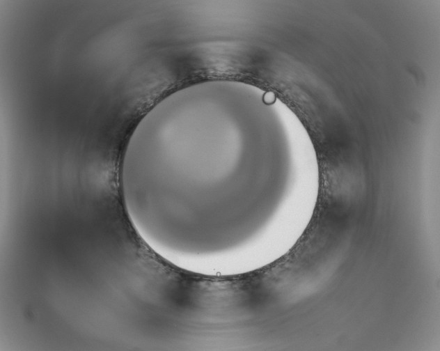 X0000111470419200907271316