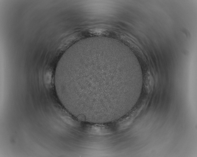 X0000111470420200907271316