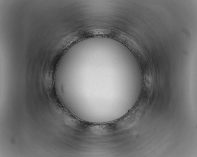 X0000111470422200907271316