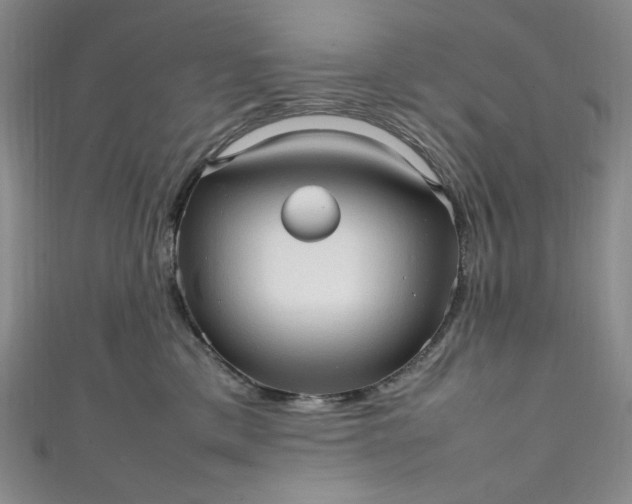 X0000111470425200907271316