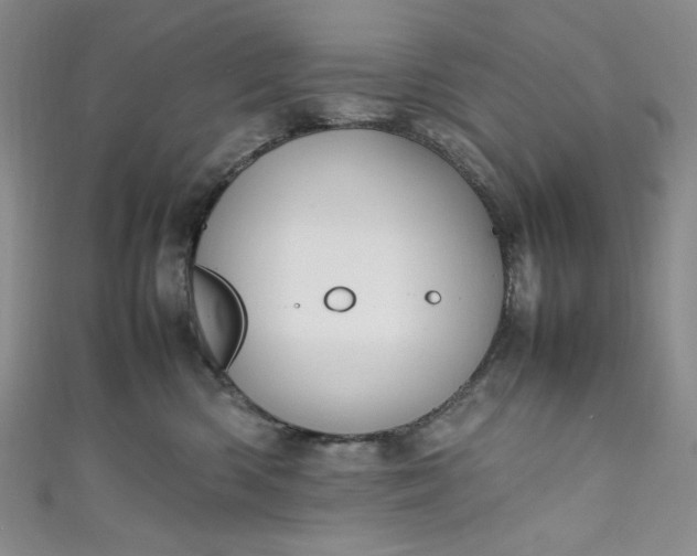 X0000111470426200907271316