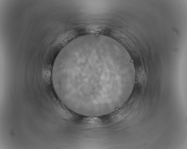 X0000111470427200907271316