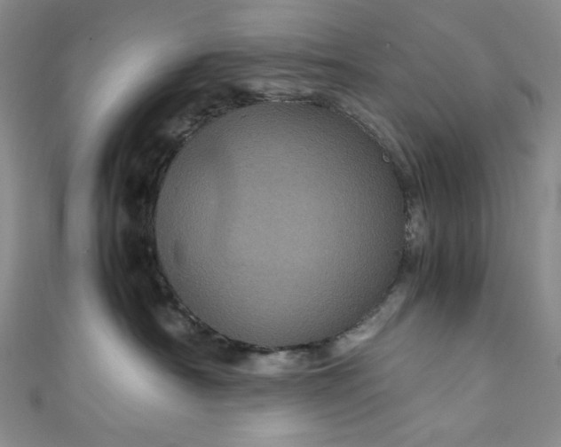 X0000111470430200907271316