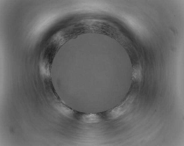 X0000111470431200907271316