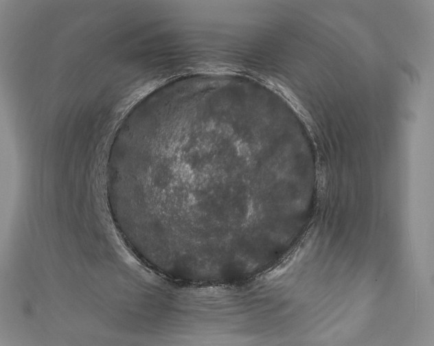 X0000111470433200907271315