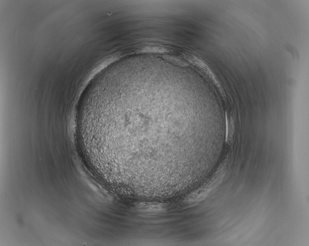 X0000111470435200907271315