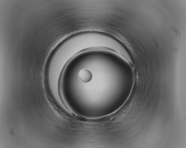 X0000111470436200907271315