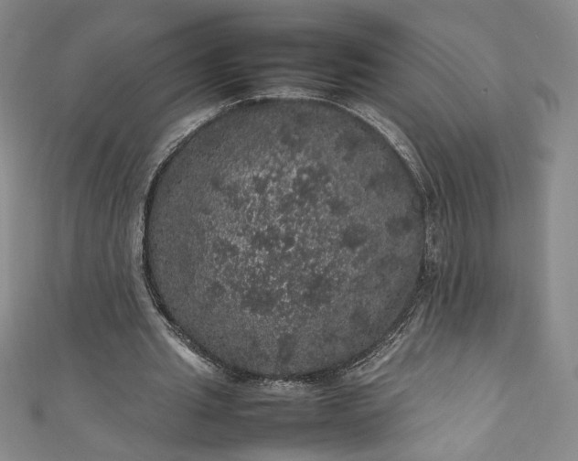 X0000111470437200907271315