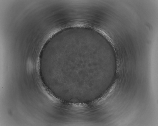 X0000111470439200907271315