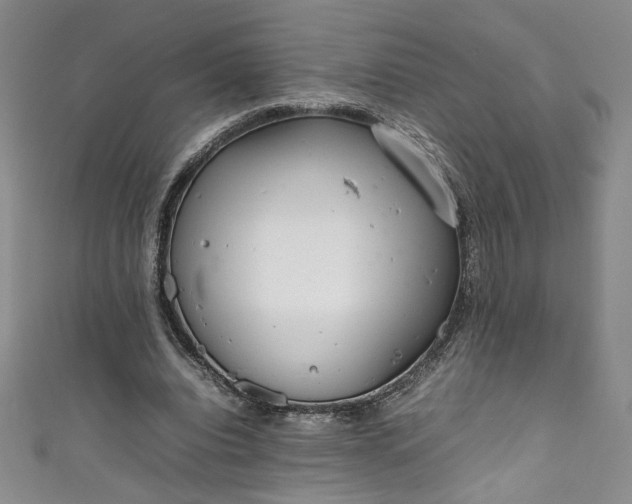 X0000111470440200907271315