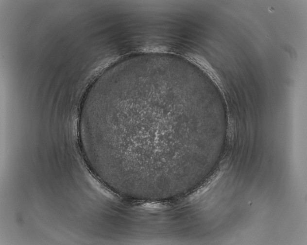 X0000111470441200907271315