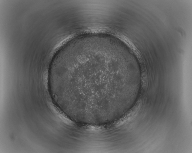 X0000111470442200907271315